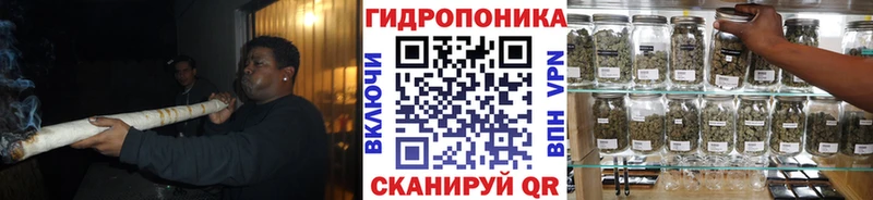 Канабис конопля Зеленоградск